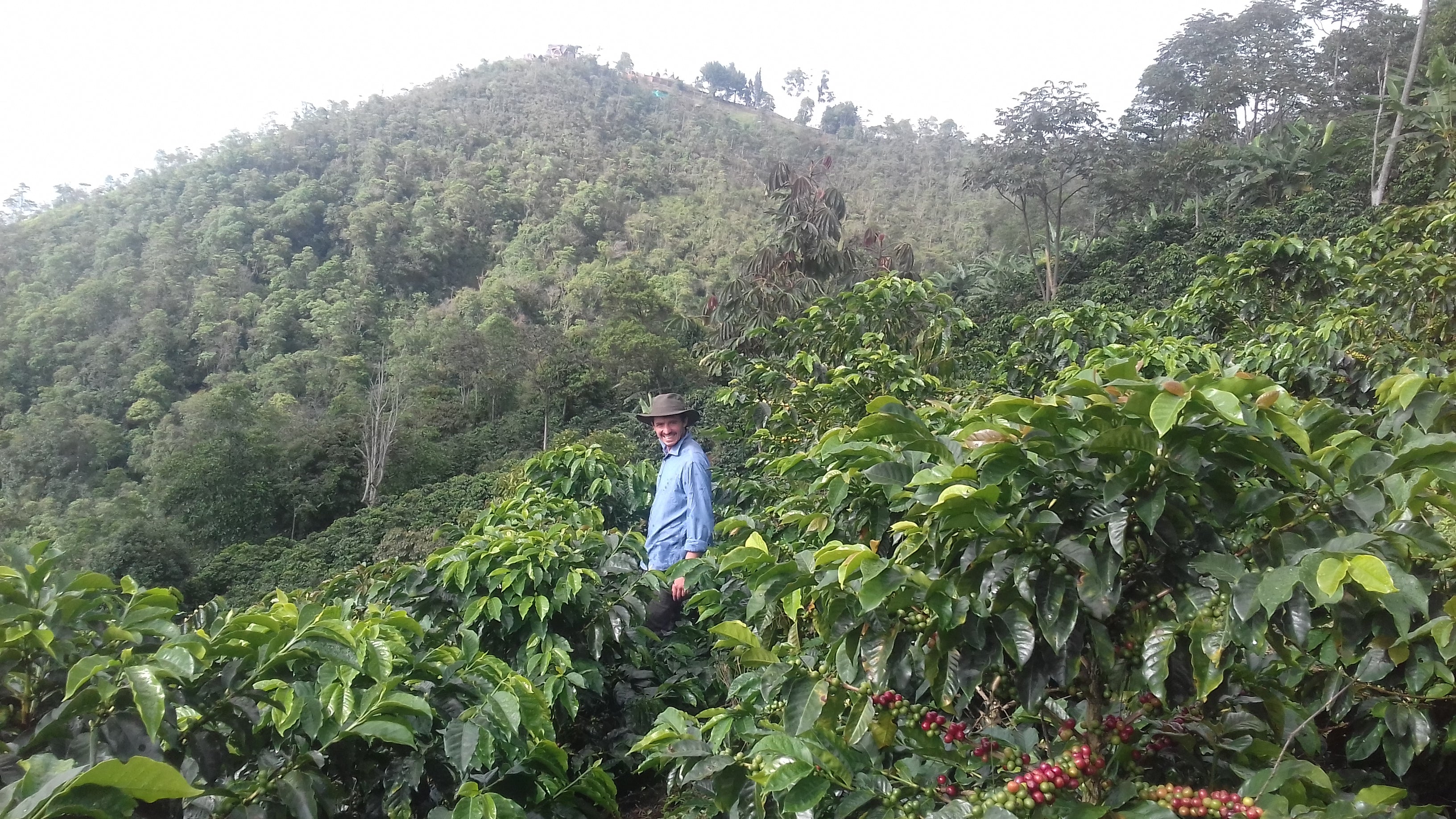 Photo of La Lomita - Colombia